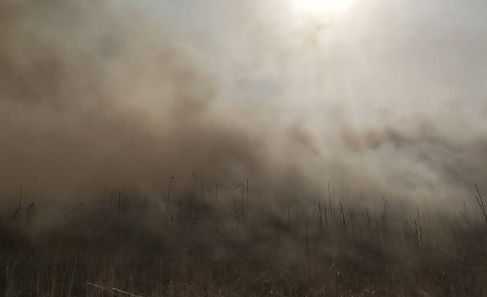 Samandağ’da sazlık alanda yangın