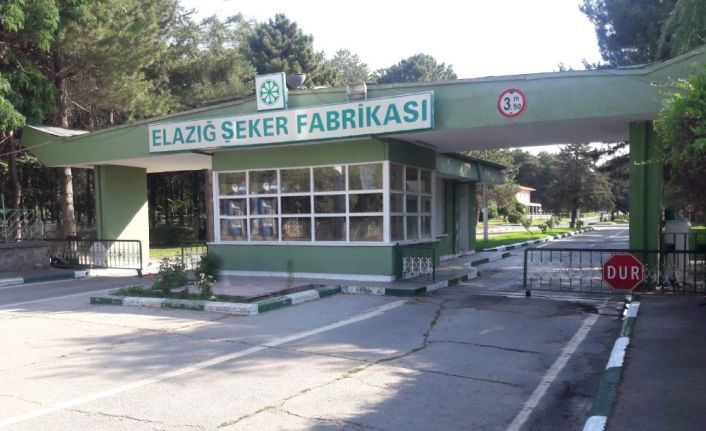 Şekere doydular