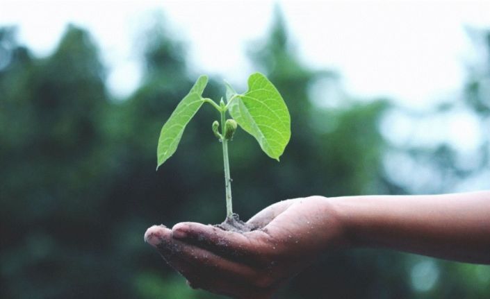 Siemens Energy ve BASF düşük karbon salınımlı üretim için güç birliği yapıyor