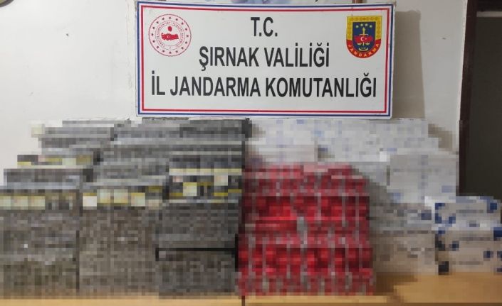 Şırnak’ta kaçakçılık operasyonu: 35 gözaltı