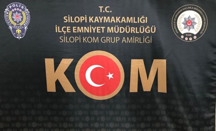 Şırnak’ta kaçakçılık operasyonu: 49 gözaltı