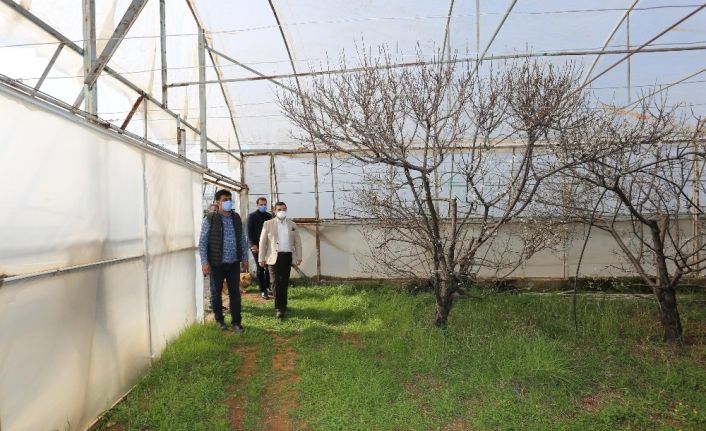 Tütüncü: “Üreticilerimiz yeniliklerle Kepez’e değer katıyor”