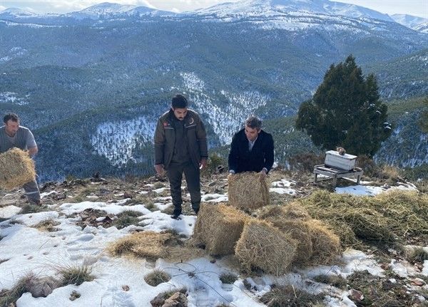 Yaban hayatına yem desteği