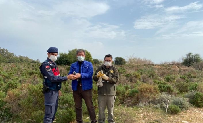 Yırtıcı kuş yakalayan şahsa 19 bin 933 lira ceza