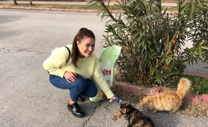 Zabıt katibi kedilerin umudu oldu