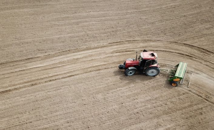 Atıl tarım arazileri üretime kazandırılıyor: 160 kilogram tohumdan 13 ton çörekotu elde edilecek