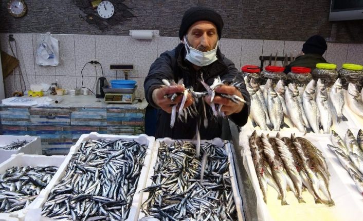 Av sezonun sonlarına doğru Trabzon açıklarında kendini gösterdi ama fiyatı el yakıyor