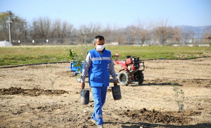 Aydın Çiftçi Merkezi, her gün daha da büyüyor