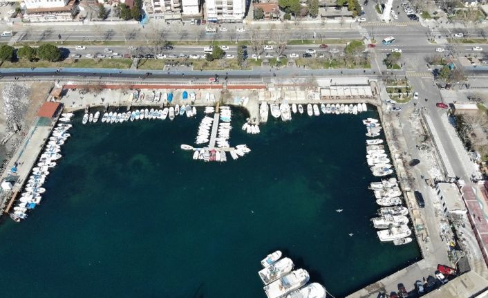 Balıkçıların korkulu rüyası ‘Kaykay’: 1 ay sonra yine salya ile döndüler