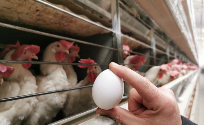 Başmakçı’da gözler Irak pazarının açılmasında