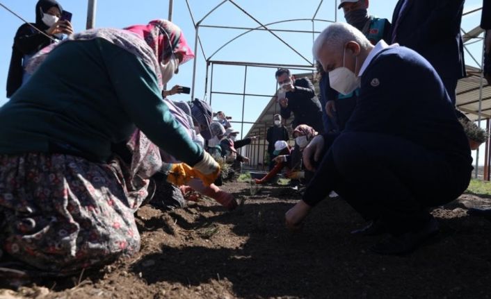 Binali Yıldırım, önce lavanta dikti ardından 4 leylek ve 1 şahini doğal yaşam alanına bıraktı