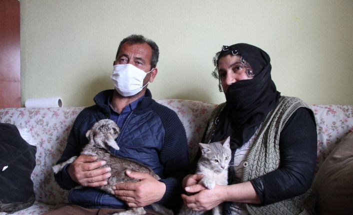 Bingöl’de içleri ısıtan görüntü, oğlağı evde bebek gibi bakıyorlar