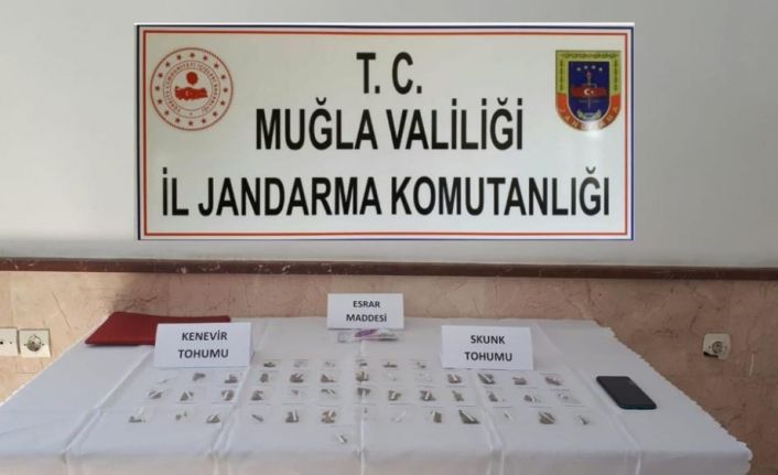Davranışlarından şüphelenilen şahsın evinde 55 paket hint keneviri ve esrar bulundu