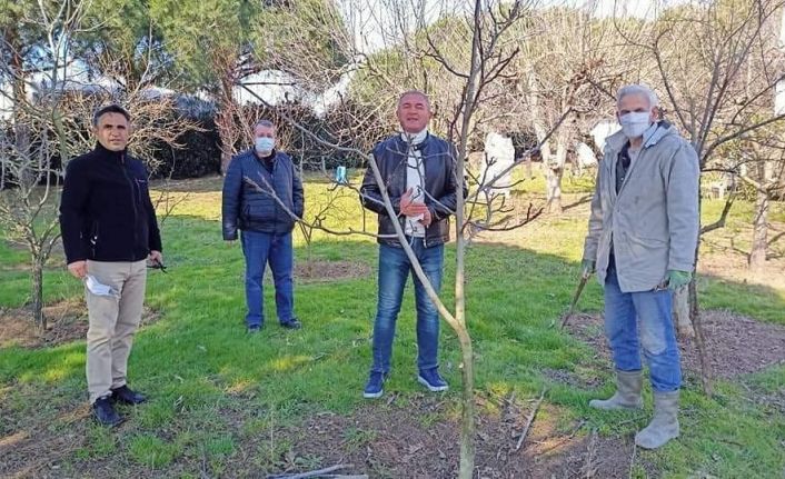 Ekinler ve meyve bahçeleri incelendi