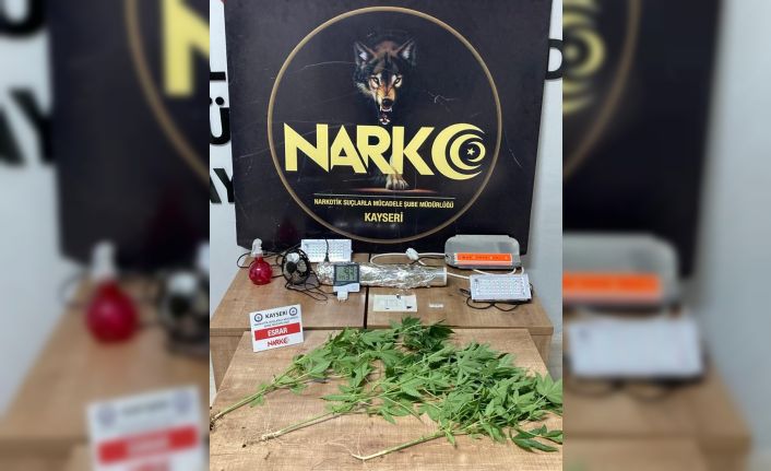 Evine kurduğu özel düzenek ile Hint keneviri yetiştiren şahıs gözaltına alındı