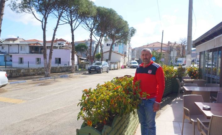 Foça’da esnaf yaz turizmine hazırlanıyor