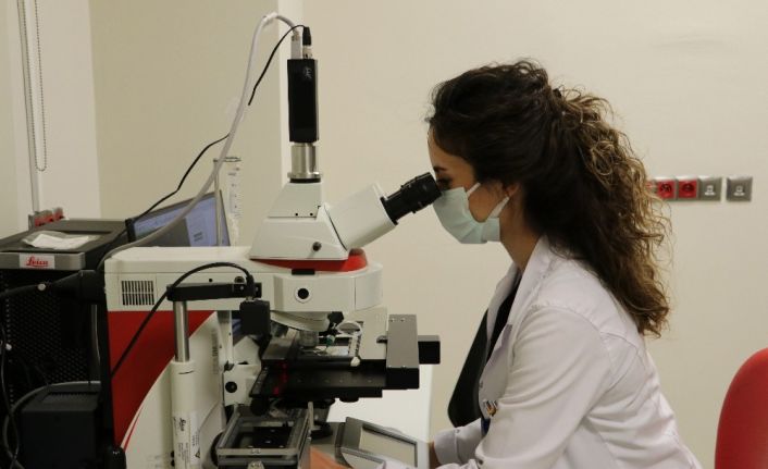 "Genetik Hastalıkları Tanı Merkezi" yurt dışına hasta göndermenin önüne geçti