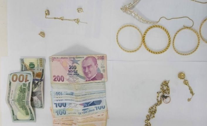 Hırsızlar köpeği çaldılar ardından yakayı ele verdiler