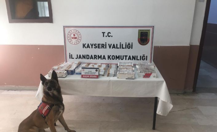 Jandarma 244 personelle 400 noktada ‘Narkotik ve Huzurlu Sokakları’ uygulaması yaptı