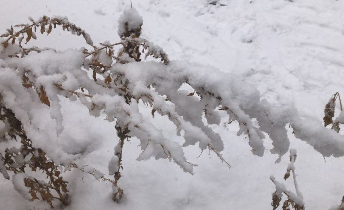 Kars’ta yoğun kar yağışı