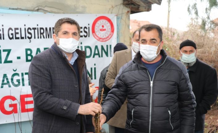 Kovancılar’da 5 bin 500 meyve fidanı dağıtıldı