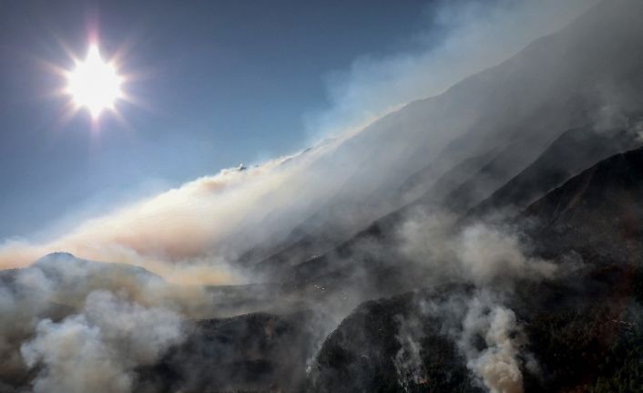 Meksika’da devam eden orman yangınları 7 bin hektarlık alanı küle çevirdi