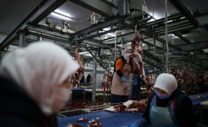 (Özel) 400 kadın kasap her gün 150 ton et işliyor