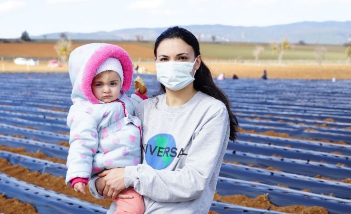 Pandemide evde oturmaktan sıkılan gelin atıl haldeki tarladan Malezya’ya çilek gönderecek