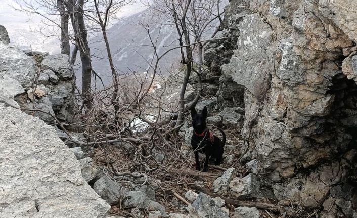 PKK’lı teröristlere ait 2 el yapımı patlayıcı jandarma ekiplerince imha edildi