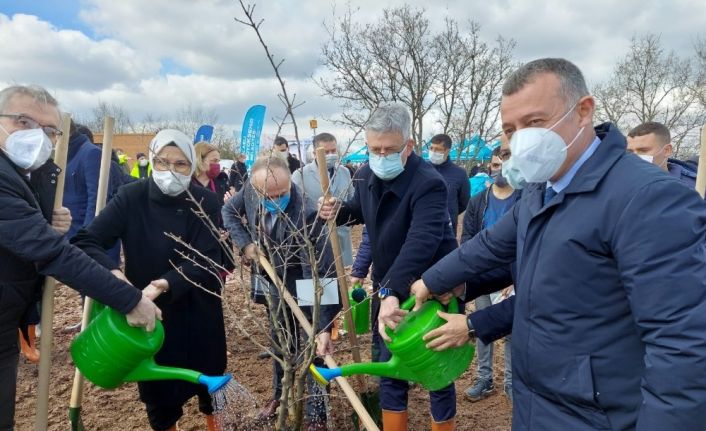 Sağlık çalışanlarının 2 bin 500 fidanlı meyve ağacı ormanı oldu