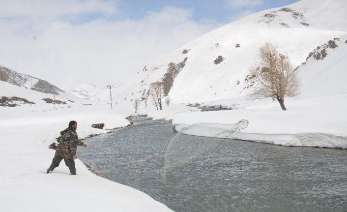 Şırnak’ta donan dere yatakları çözülünce vatandaşlar buz gibi suda balık avına çıktı