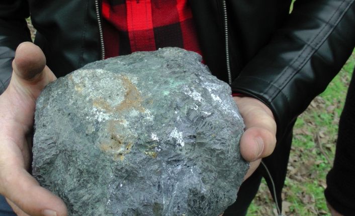 Sohbet ettikleri bahçeye gürültü ile düşen 9.5 kiloluk taş meteor sevinci yaşattı