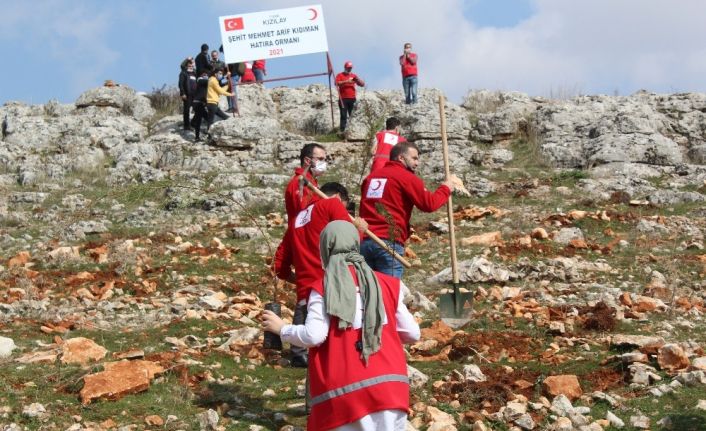 Suriye’de şehit olan Kızılay görevlisi anısına hatıra ormanı kuruldu