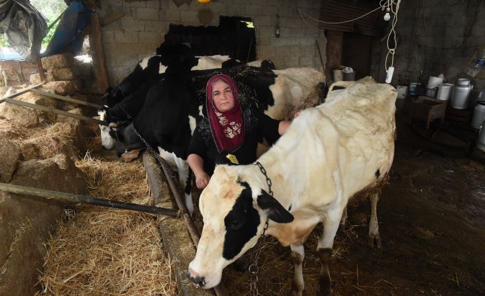 Tarsus Belediyesi, Halk Market ile küçük üreticiye destek veriyor