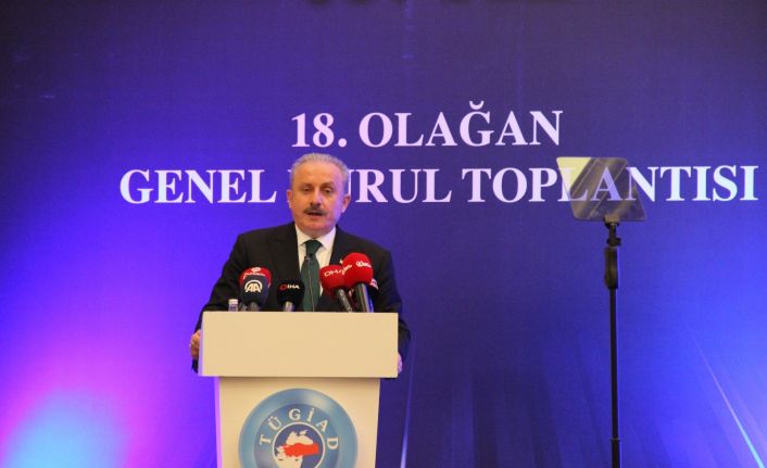 TBMM Başkanı Mustafa Şentop: ’’Salgında Türkiye dünyadaki müstesna birkaç ülkeden biri oldu’’