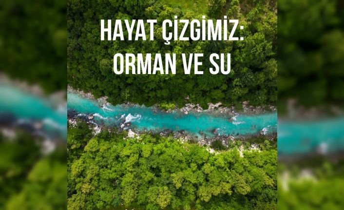 TEMA Vakfı Başkanı Deniz Ataç, "Ormanların tahrip edilmesi salgınları beraberinde getirdi"