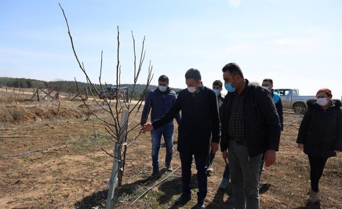 Tozman yaylalarının çehresi değişecek