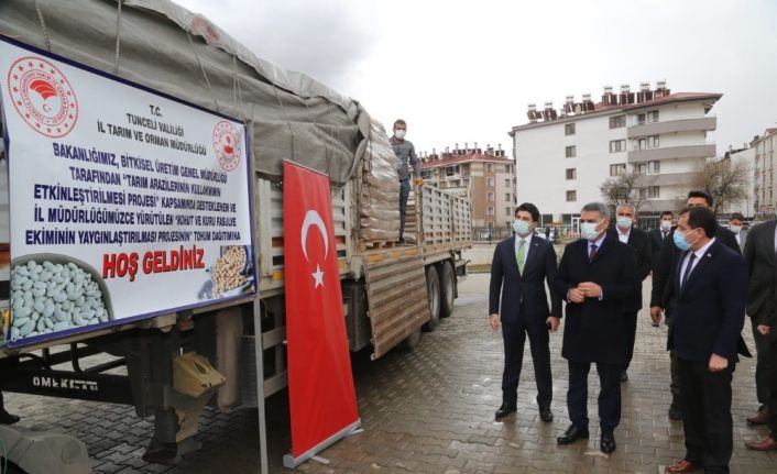 Tunceli’de atıl araziler tarıma kazandırılıyor, 236 çiftçiye 56 ton tohum desteği
