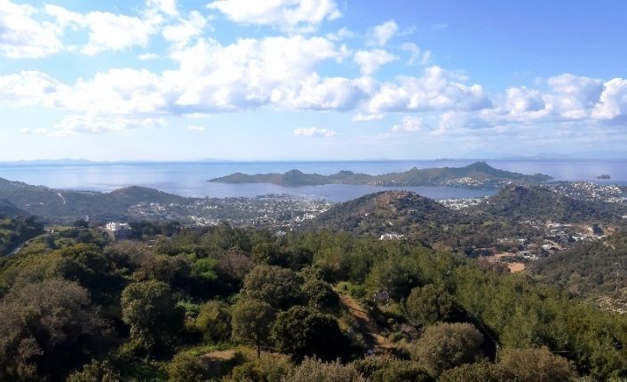 Türkiye’nin en pahalı mahallesinde imar durduruldu, milyon dolarlık projeler askıya alındı