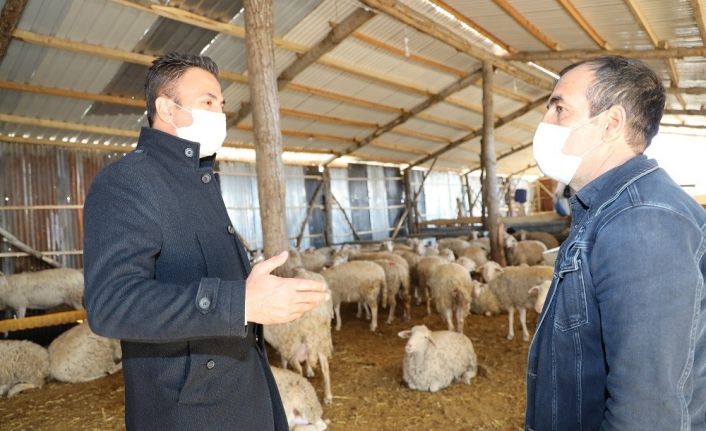 Türkiye’ye örnek olacak projede sona gelindi