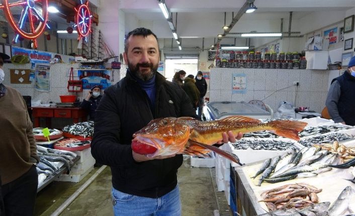 Uzun süredir tezgahlarda görülmüyordu, balık av sezonunun sonları doğru ortaya çıktı