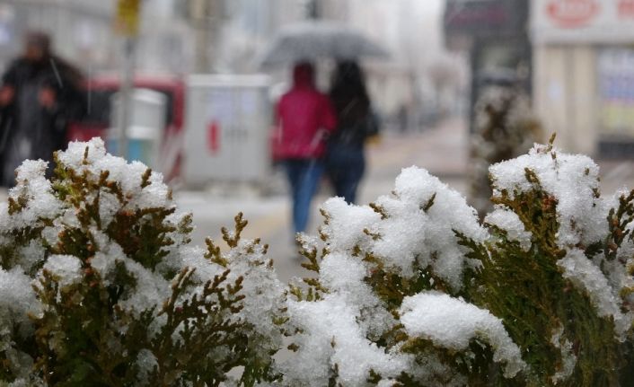 Van’da mart kapıdan baktırdı