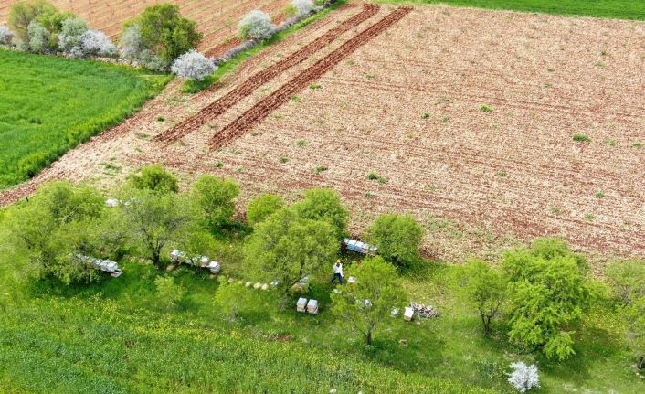 20 yıl sonra keşke dememek için arıcılığa başladılar, şimdi siparişlere yetişemiyorlar