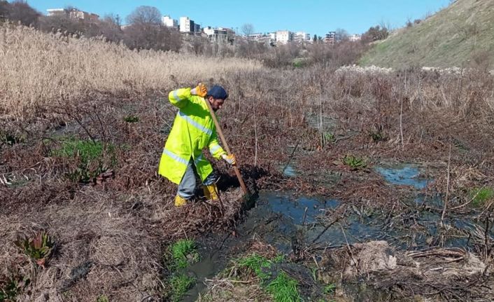 Adıyaman’da haşere ile mücadele sürüyor