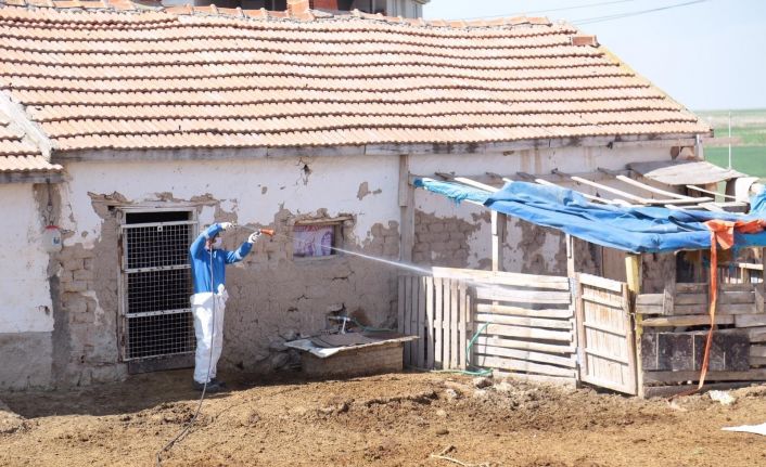 Aksaray’da kara sinek ve haşerelere karşı mücadele başlatıldı