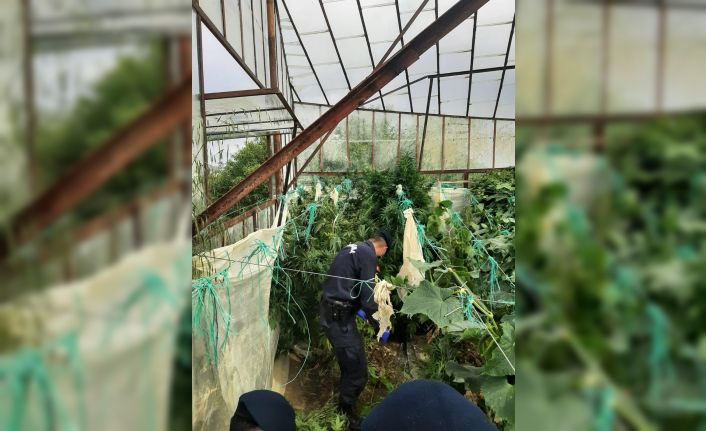 Alanya’da uyuşturucu operasyonu: 1 gözaltı