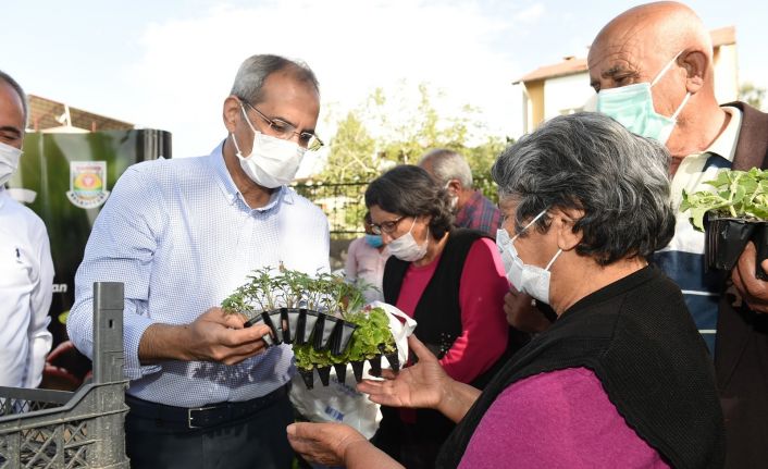 Ata tohumu ile yetiştirilen 300 bin adet fide üreticilere ücretsiz dağıtıldı