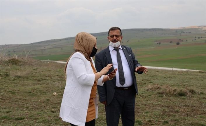 Atıl tarım arazileri üretime kazandırılıyor