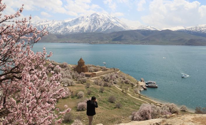 Badem ağaçlarının çiçekleri ile renklenen Akdamar Adası’na ziyaretçi akını