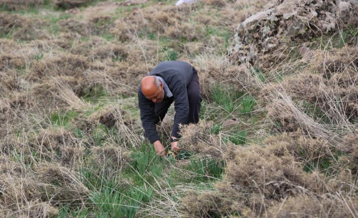 Bağışıklıktan, saç dökülmesine kadar etkili ’Gulik’in mesaisi başladı